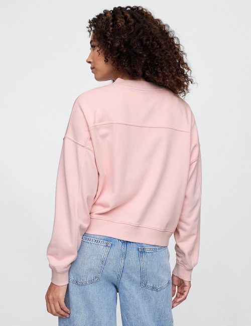 Vintage Soft French Terry Wedge V-Neck Sweatshirt
