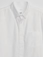 Oxford Shirt in Standard Fit