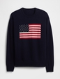 V-FLAG SWEATER