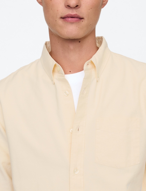 Oxford Shirt in Standard Fit