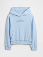 VTG SOFT PO HOODIE_SP26