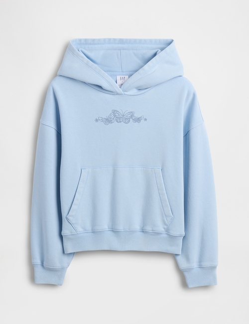 VTG SOFT PO HOODIE_SP26