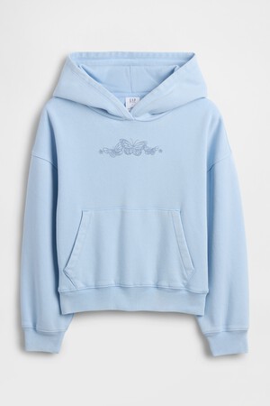 VTG SOFT PO HOODIE_SP26