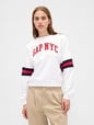 LOGO WEDGE PULLOVER
