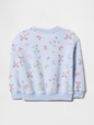 Baby & Toddler VintageSoft Sweatshirt