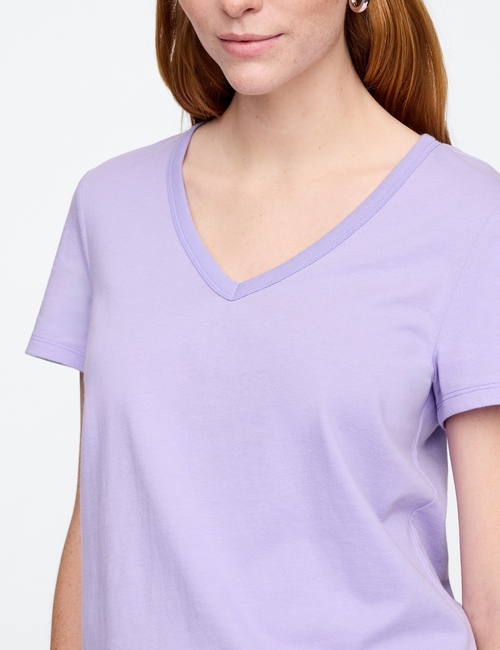 Favorite V-Neck T-Shirt