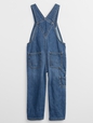 babyGap Denim Overalls with Washwell
