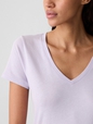 Favorite V-Neck T-Shirt