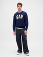 V-INTX GAP ATHLETIC INTARSIA RLXD CREW