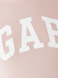 V-Gap Franchis