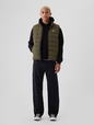ColdControl Puffer Vest