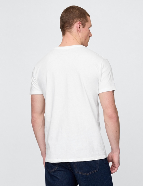 Cotton Jersey V-Neck T-Shirt