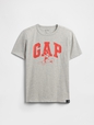 V-DIS FAM FALL LOGO TEE