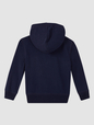 Kids Gap Arch Logo Hoodie