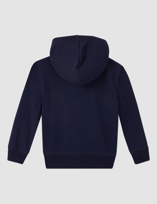 Kids Gap Arch Logo Hoodie