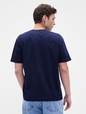 V-FRCH SS GAP VINTAGE GRAPHICS