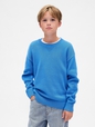 Kids Relaxed Crewneck Sweater