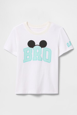 V-DIS BRO SS GR