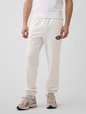 JPN IE OVAL LOGO FT JOGGER