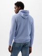 Puff Gap Arch Logo Hoodie