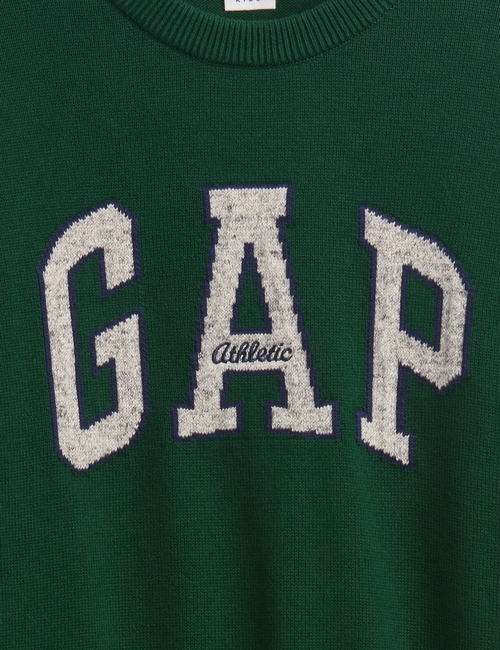 Kids Gap Logo Intarsia Sweater