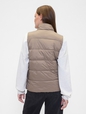 ColdControl Puffer Vest