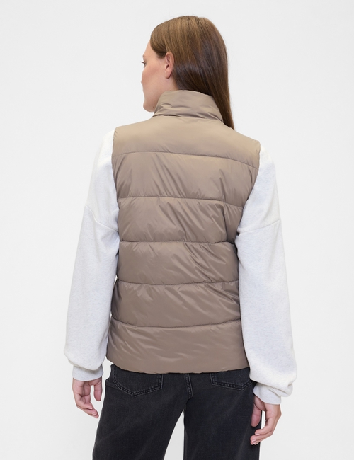 ColdControl Puffer Vest