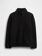 JPN IE ARCTIC FLC HALFZIP