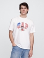 V-DIS AMERICAN