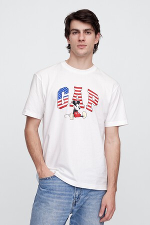 V-DIS AMERICAN