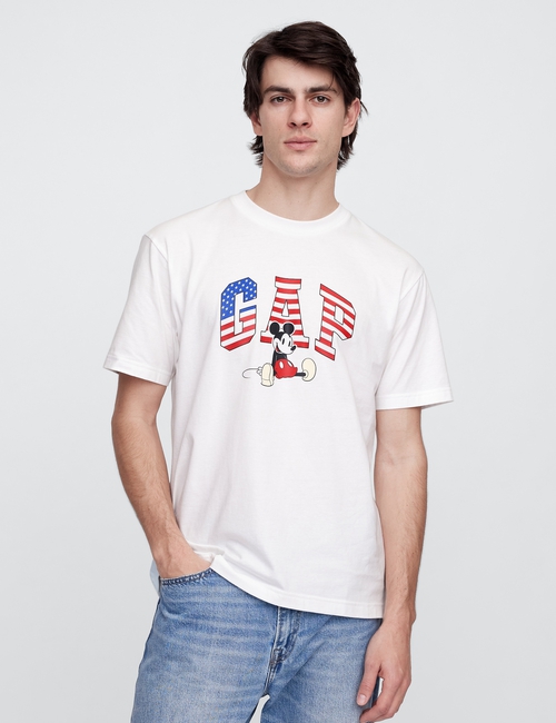 V-DIS AMERICAN