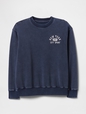 Vintage Soft French Terry Logo Sweatshirt