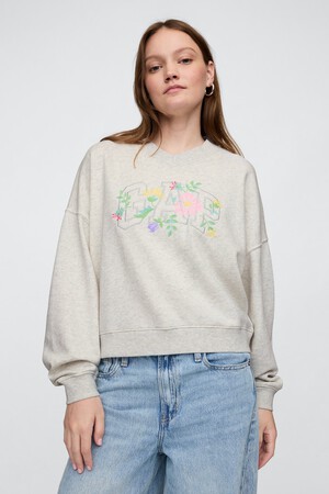 Vintage Soft French Terry Wedge V-Neck Sweatshirt