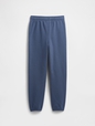 V-DIS FAM FALL LOGO JOGGER