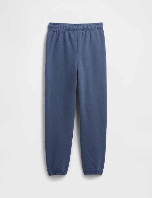 V-DIS FAM FALL LOGO JOGGER