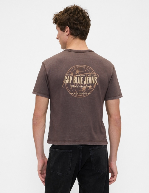 SS WORLD STANDARD CROPPED LOGO T