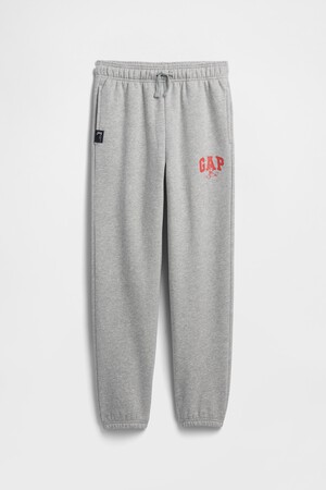 V-DIS FAM FALL LOGO JOGGER
