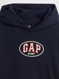JPN IE FASH LOGO HOOD
