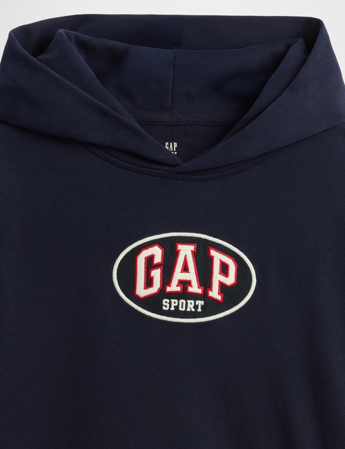 JPN IE FASH LOGO HOOD