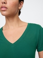 Favorite V-Neck T-Shirt