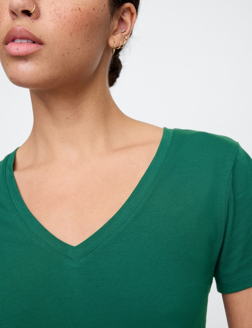 Favorite V-Neck T-Shirt