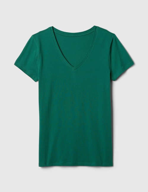 Favorite V-Neck T-Shirt
