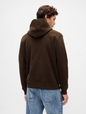 Adult VintageSoft Arch Logo Hoodie