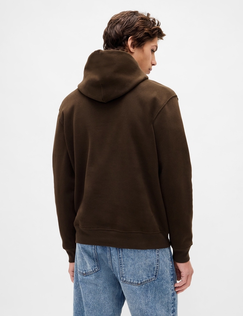 Adult VintageSoft Arch Logo Hoodie