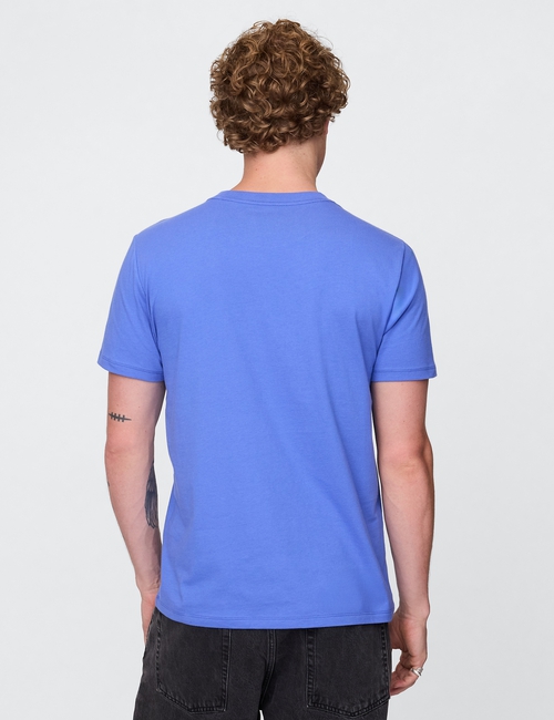 INTL NEW ARCH T