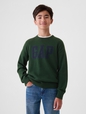 Kids Gap Logo Intarsia Sweater