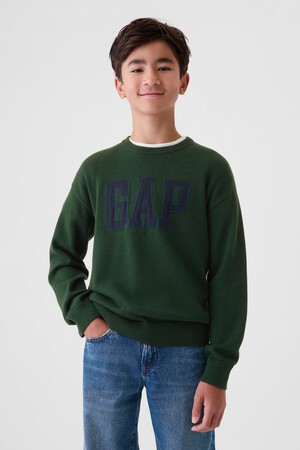 Kids Gap Logo Intarsia Sweater