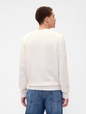 V-RAGLAN TEXTURE CREW