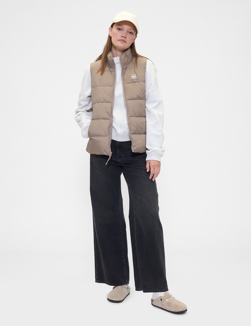 ColdControl Puffer Vest