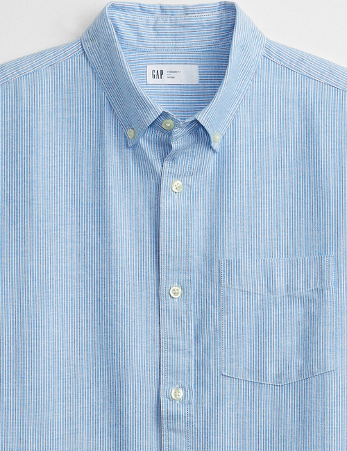 Oxford Shirt in Standard Fit